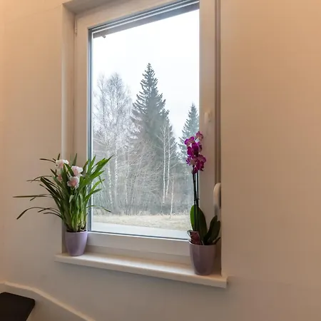 Kuca Za Odmor Evolo Skrad