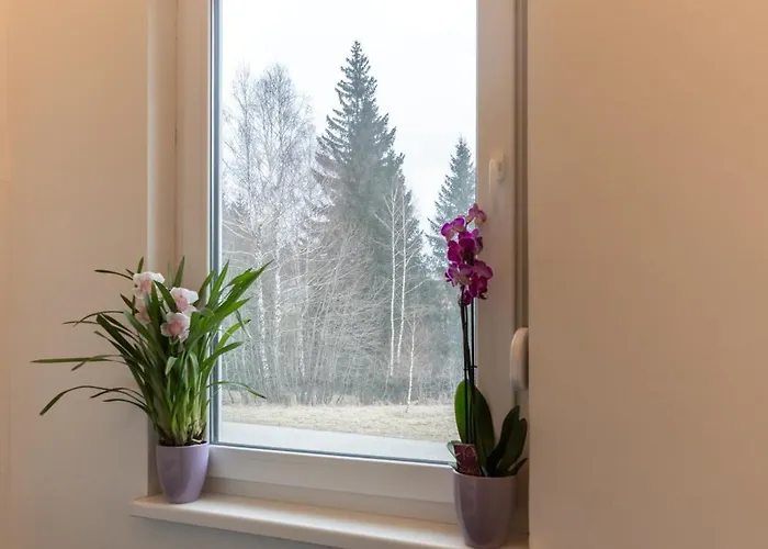 Kuca Za Odmor Evolo Skrad